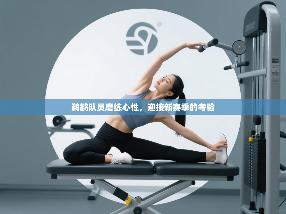 鹈鹕队员磨练心性，迎接新赛季的考验  第1张