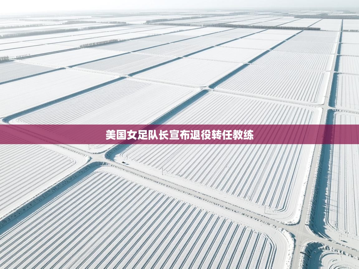 美国女足队长宣布退役转任教练  第2张