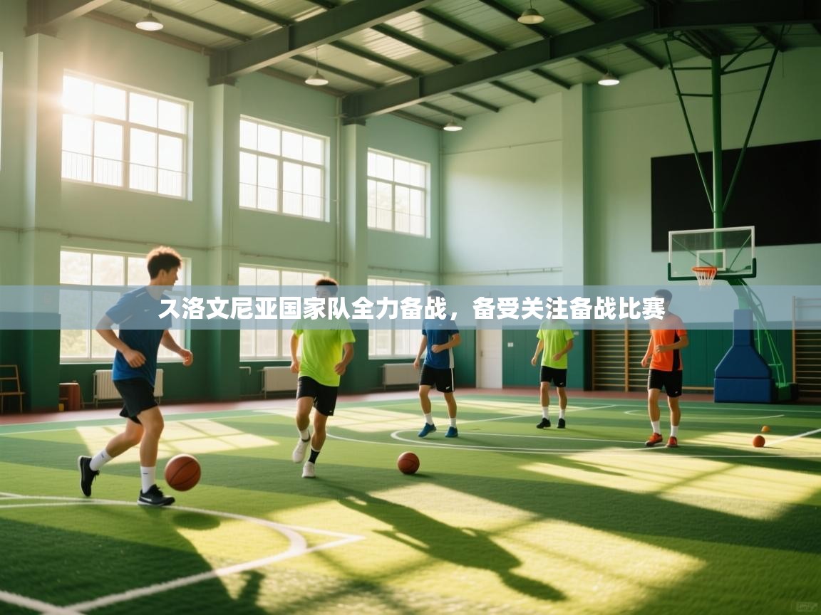 ス洛文尼亚国家队全力备战，备受关注备战比赛  第2张