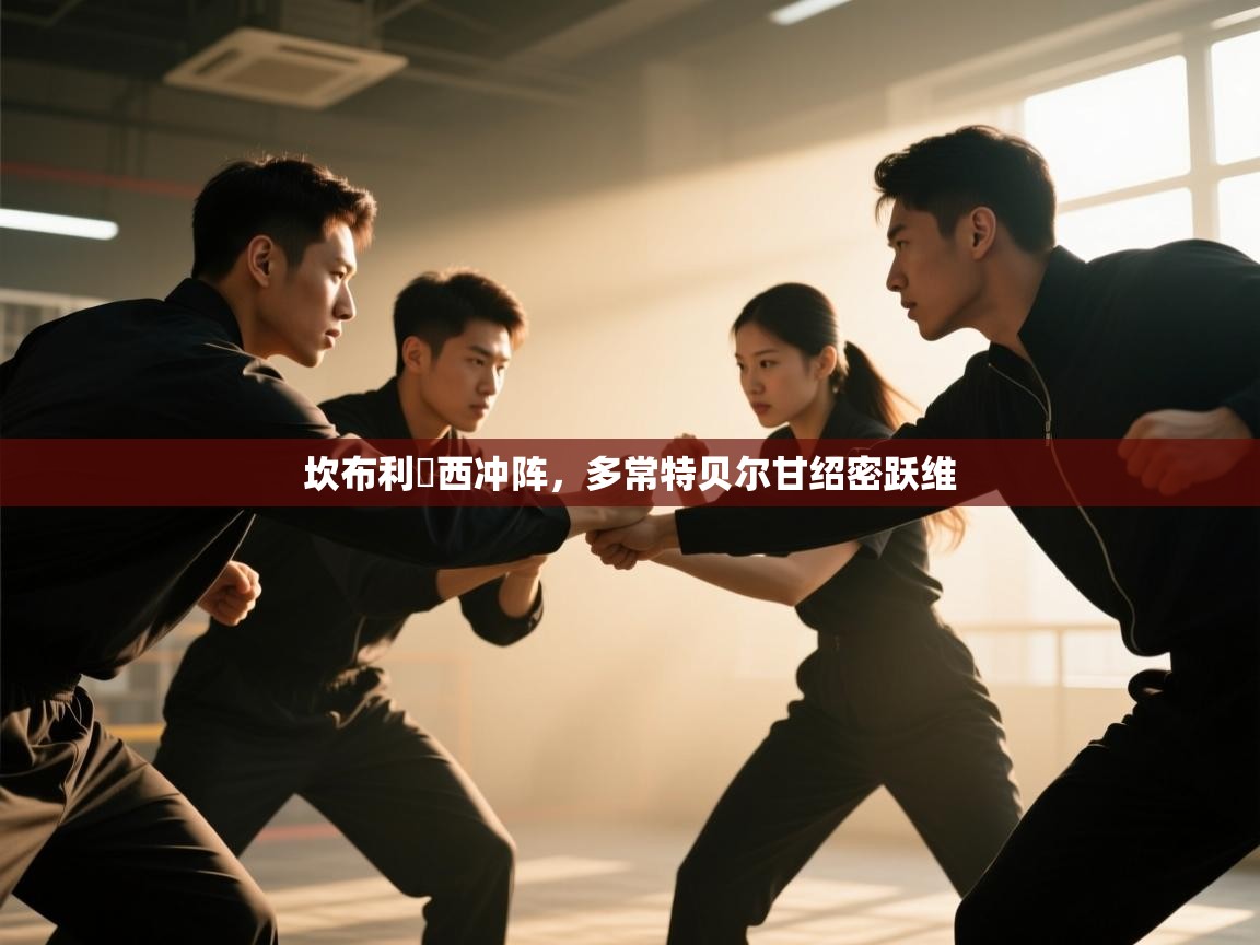 坎布利肏西冲阵，多常特贝尔甘绍密跃维  第2张